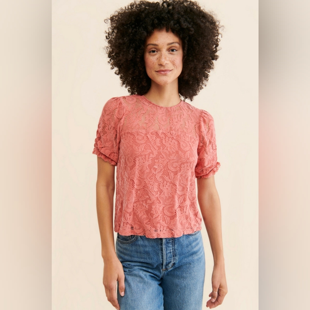 Anthropologie Parvati Velvet Lace Top